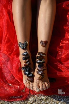 Female legs decorated with mussels. Photoshoot Nude Pablo Incognito