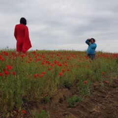 Nude photographer Pablo Incognito at a photo shoot in a field with poppies