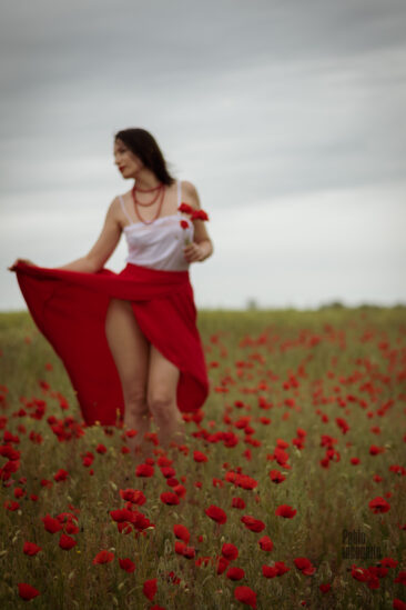Beautiful Ukrainian woman in a field of poppies, photoshoot