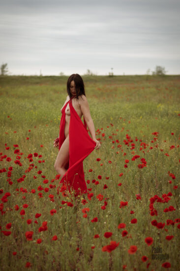 Half-naked woman in a field of poppies nude photo