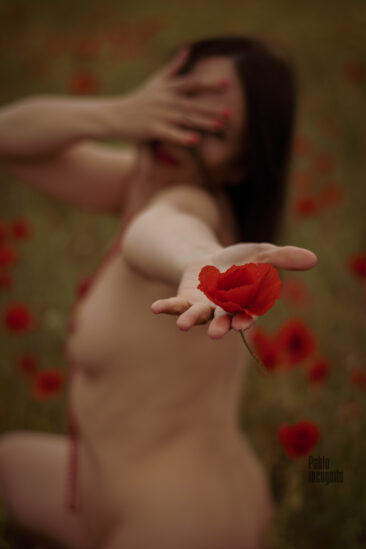Portrait of a naked woman with red poppy nude photo