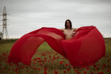 Topless in poppies on the background of the track nude photo session