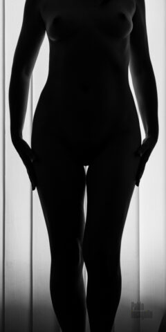 Silhouette of a beautiful female figure on the background of the window