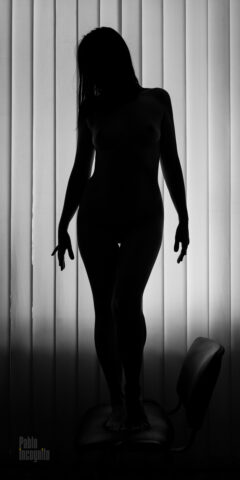 Silhouette of a beautiful female body on a chair nude bw