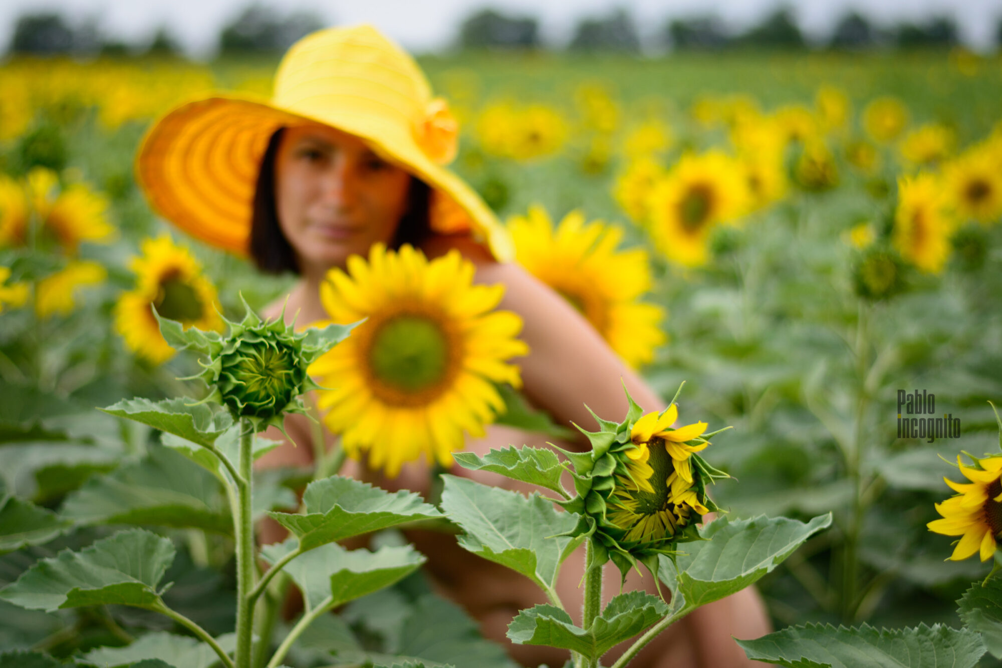 Yellow Sunflowers And A Woman Nude In The Field Hat Pablo Incognito