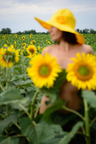 Photoshoot nude in sunflowers