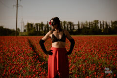 Photo session in poppies with nude elements. Iren Adler, Pablo Incognito