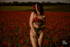 Romantic photo session in poppies. Nude photo by Pablo Incognito