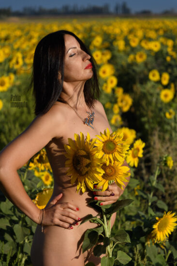 Nude photo session in sunflowers. Pablo Incognito