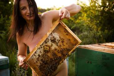 Naked girl with honeycombs in the apiary. Photo of nude Pablo Incognito