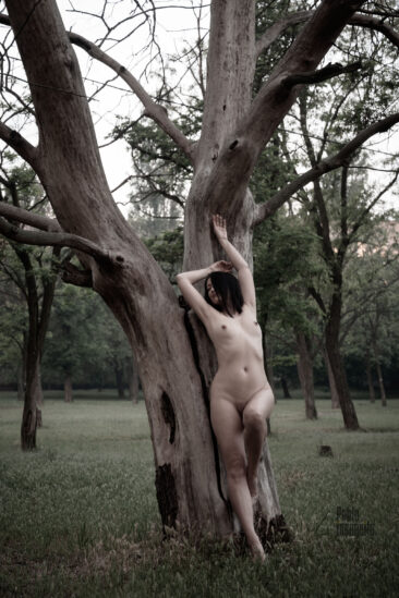 Nude girl with a beautiful figure near a tree in the nude park