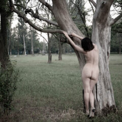 Nude Art. A naked girl near a bare tree. Photo by Pablo Incognito